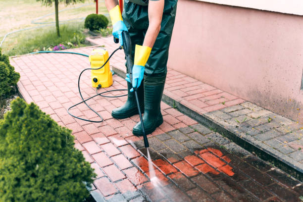 Best Roof Pressure Washing  in Bradner, OH